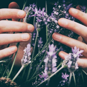 wellness for mind and emotions
